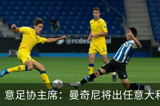 意足协主席：曼奇尼将出任意大利主帅 拉涅利任技术总监