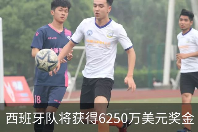 西班牙队将获得6250万美元奖金 每位球员将分得约88万美元